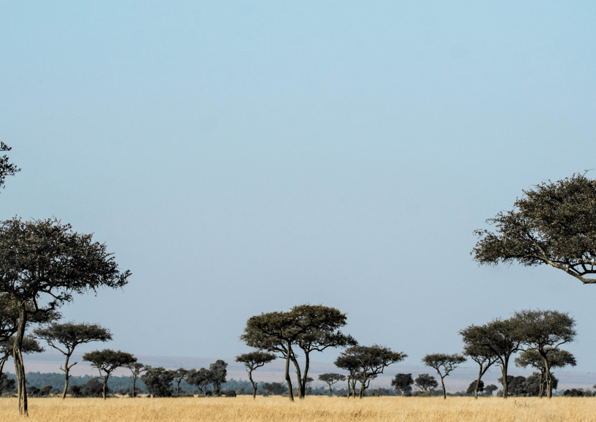 Building thriving ecosystems